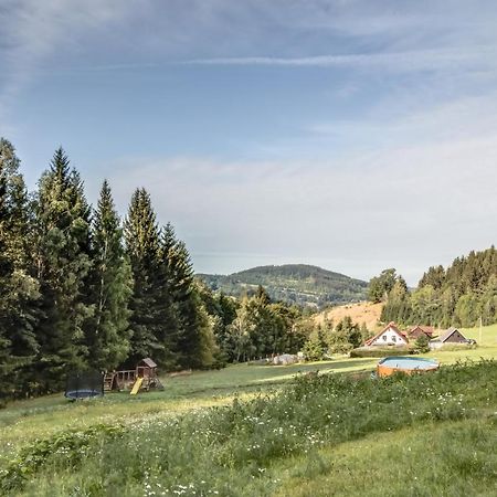 Ski, Hike & Bike Apartman Rokytnice Nad Jizerou Bagian luar foto